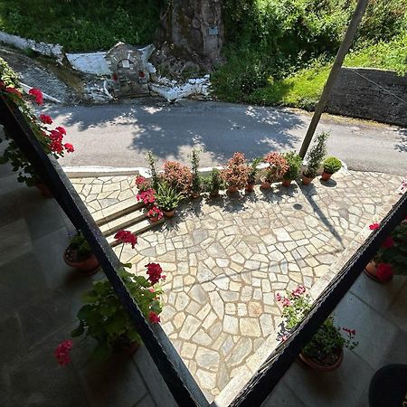 Λευκή Καμέλια Anilio Pelion Exterior foto