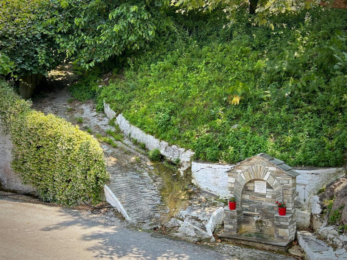 Λευκή Καμέλια Anilio Pelion Exterior foto