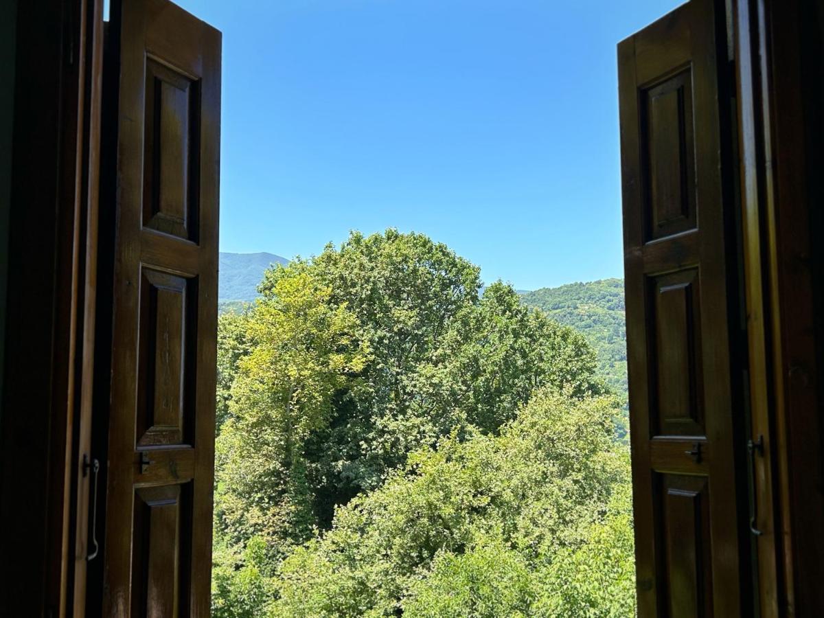 Λευκή Καμέλια Anilio Pelion Exterior foto