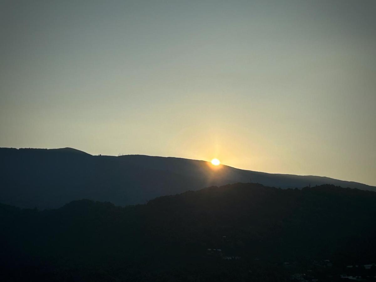 Λευκή Καμέλια Anilio Pelion Exterior foto