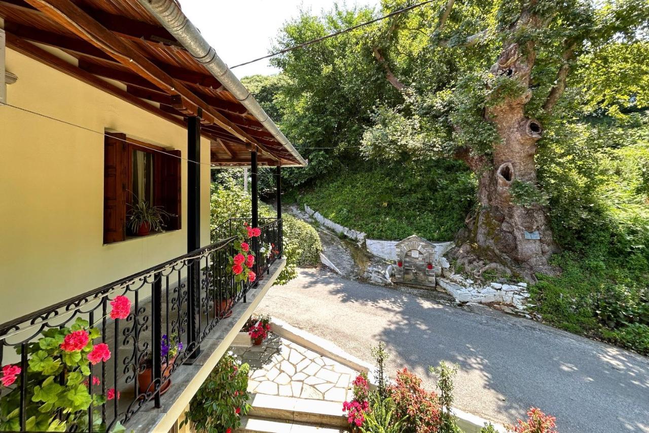 Λευκή Καμέλια Anilio Pelion Exterior foto