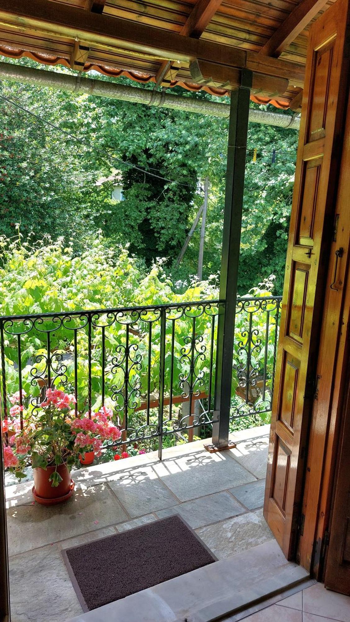 Λευκή Καμέλια Anilio Pelion Exterior foto